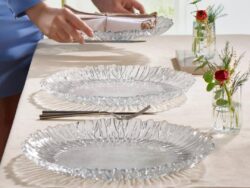 Farfurii din sticla